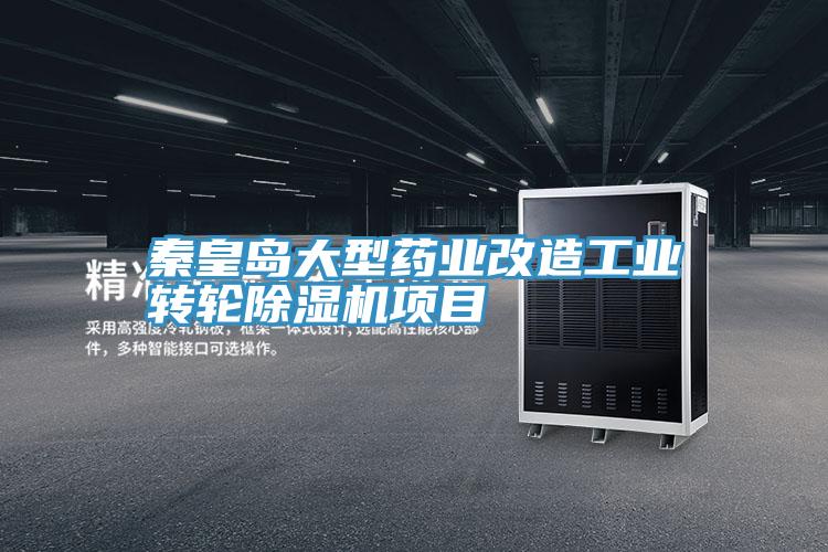 秦皇島大型藥業(yè)改造工業(yè)轉(zhuǎn)輪除濕機(jī)項目