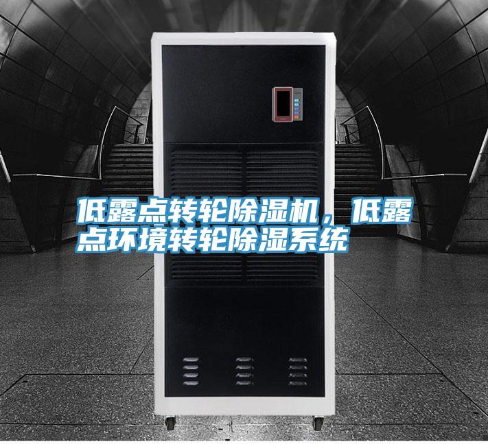 低露點轉輪除濕機,低露點環境轉輪除濕系統