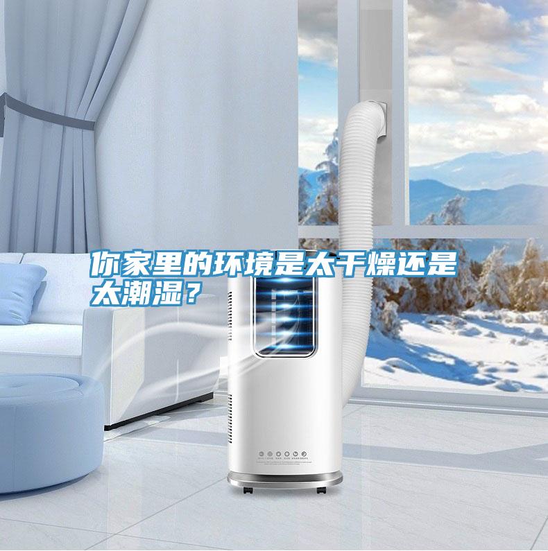 你家里的環境是太干燥還是太潮濕？