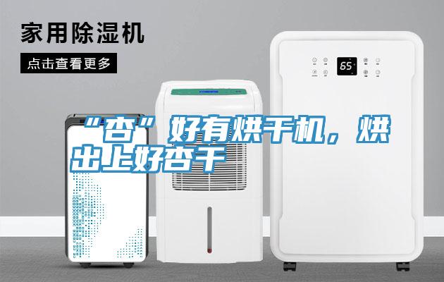 “杏”好有烘干機(jī),烘出上好杏干