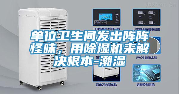 單位衛生間發出陣陣怪味,用除濕機來解決根本-潮濕