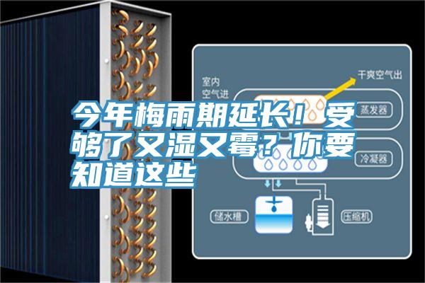 今年梅雨期延長！受夠了又濕又霉？你要知道這些