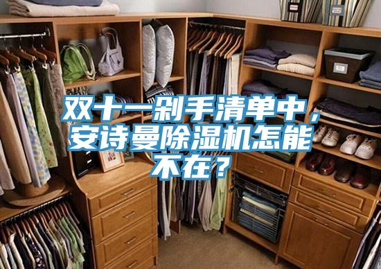 雙十一剁手清單中，安詩(shī)曼除濕機(jī)怎能不在？