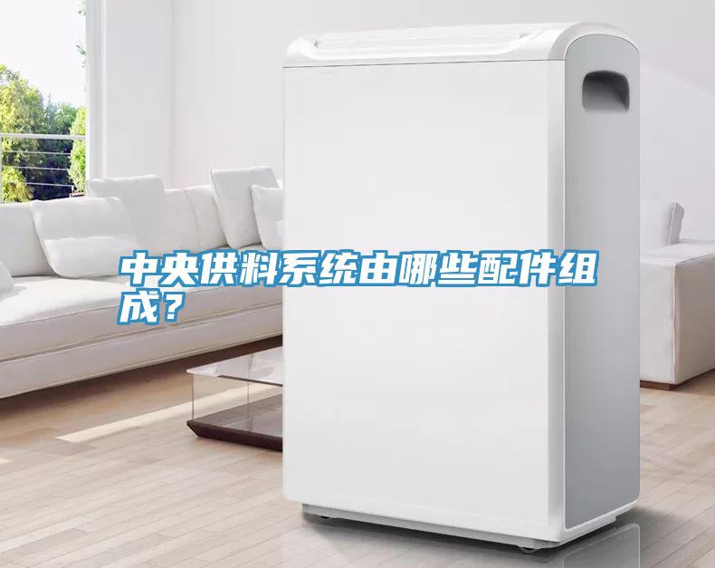 中央供料系統由哪些配件組成？