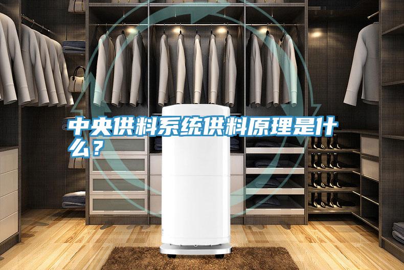 中央供料系統(tǒng)供料原理是什么?