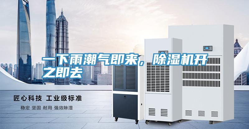 一下雨潮氣即來，除濕機開之即去