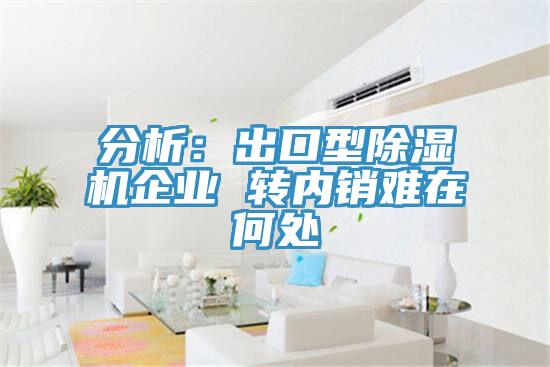 分析:出口型除濕機企業 轉內銷難在何處