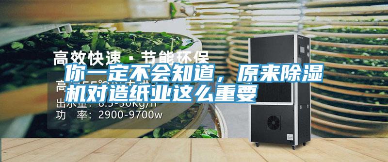 你一定不會知道,原來除濕機對造紙業這么重要