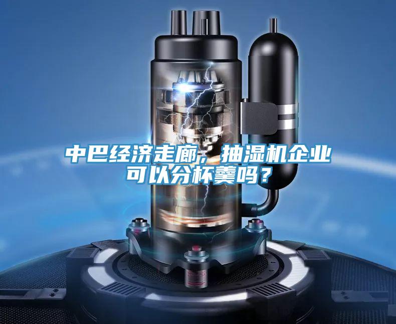 中巴經濟走廊，抽濕機企業可以分杯羹嗎？