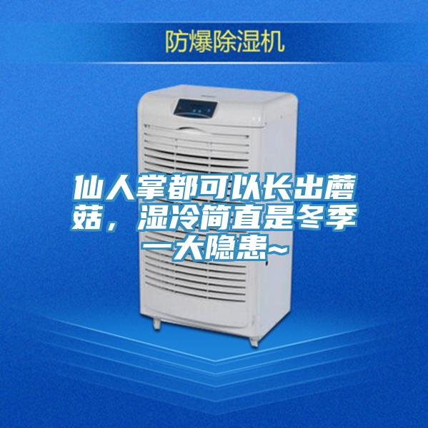 仙人掌都可以長出蘑菇，濕冷簡直是冬季一大隱患~