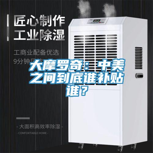 大摩羅奇：中美之間到底誰補(bǔ)貼誰？