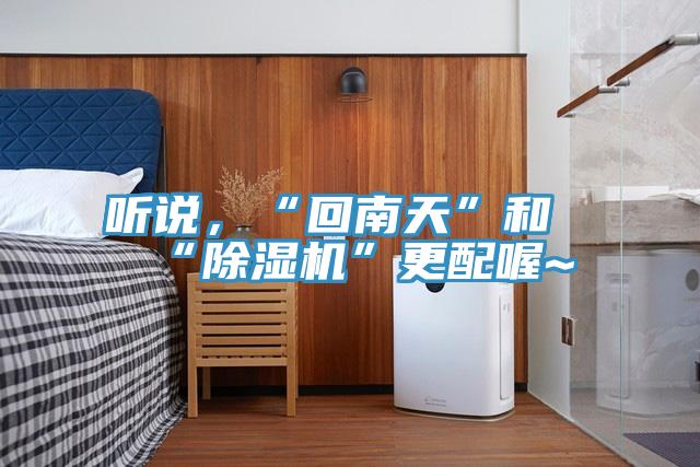 聽說，“回南天”和“除濕機”更配喔~