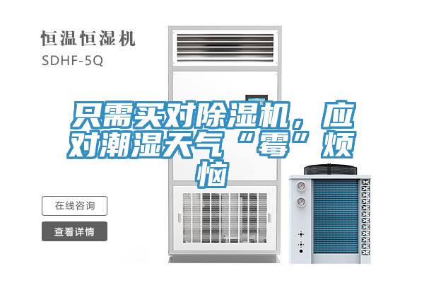 只需買對除濕機，應對潮濕天氣“霉”煩惱