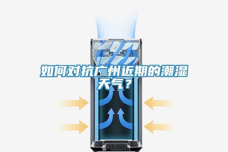 如何對抗廣州近期的潮濕天氣？