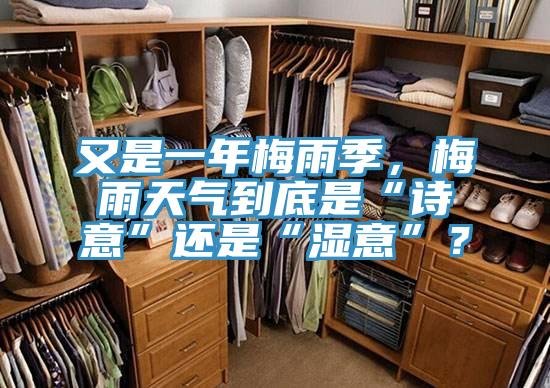 又是一年梅雨季，梅雨天氣到底是“詩意”還是“濕意”？