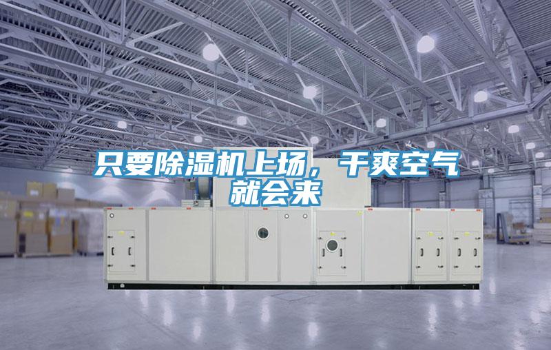 只要除濕機上場，干爽空氣就會來