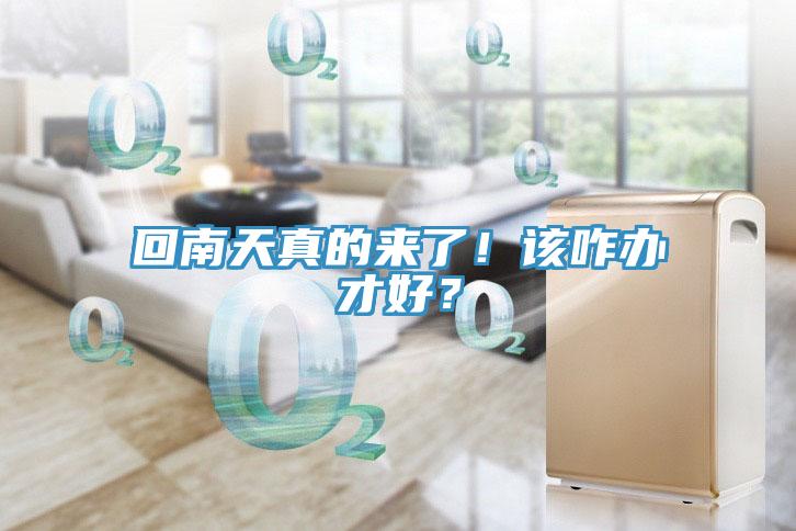 回南天真的來了！該咋辦才好？