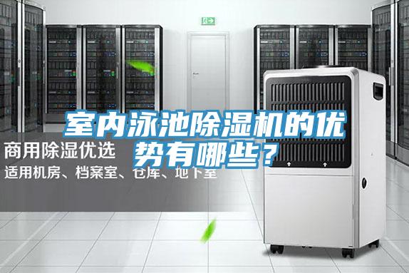 室內泳池除濕機的優勢有哪些？