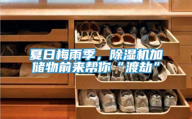 夏日梅雨季，除濕機加儲物前來幫你“渡劫”