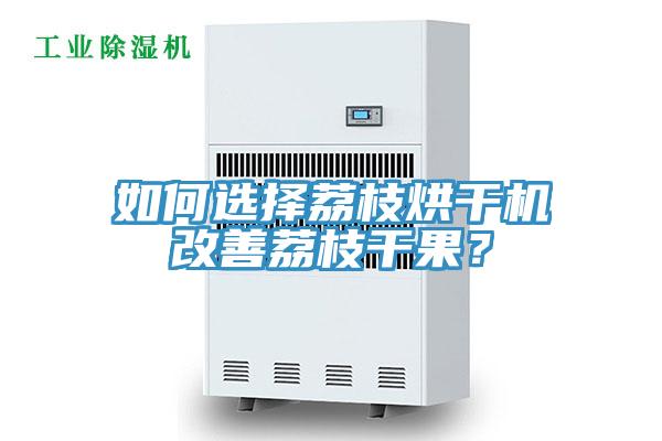 如何選擇荔枝烘干機(jī)改善荔枝干果?