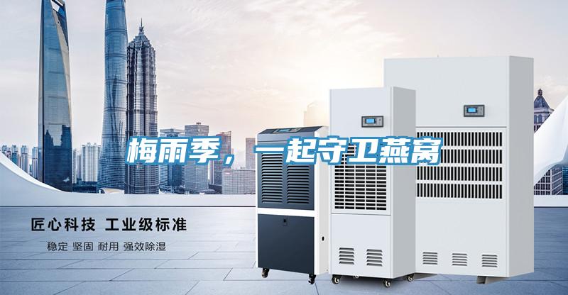 梅雨季，一起守衛燕窩