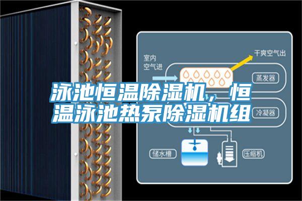 泳池恒溫除濕機，恒溫泳池熱泵除濕機組