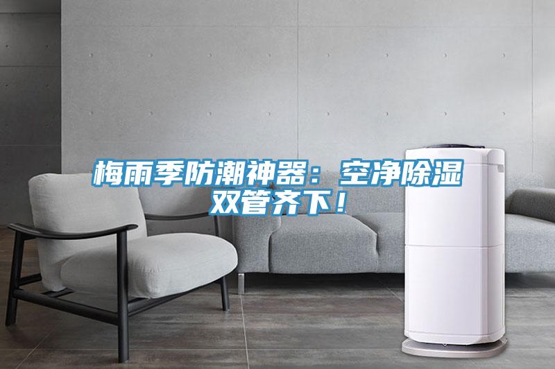 梅雨季防潮神器：空凈除濕雙管齊下！