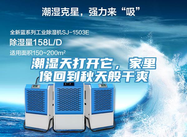 潮濕天打開它，家里像回到秋天般干爽