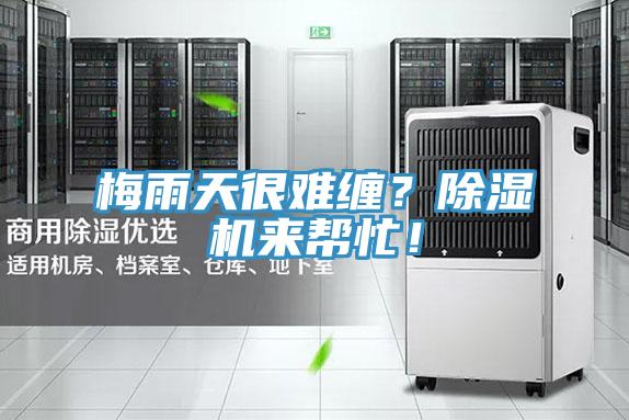 梅雨天很難纏？除濕機來幫忙！