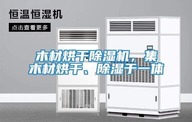 木材烘干除濕機(jī),集木材烘干、除濕于一體