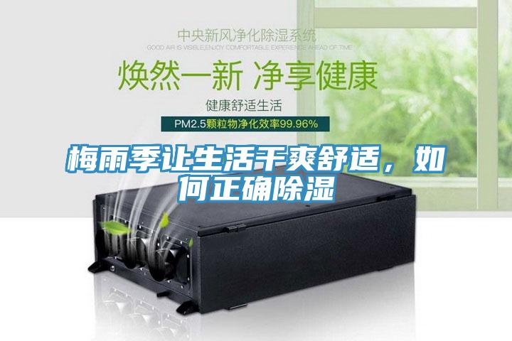 梅雨季讓生活干爽舒適,如何正確除濕
