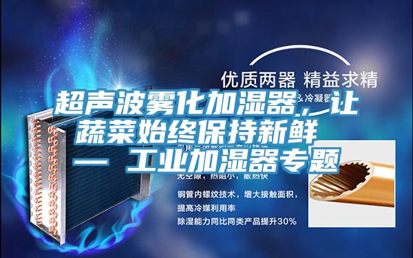 超聲波霧化加濕器，讓蔬菜始終保持新鮮 — 工業加濕器專題