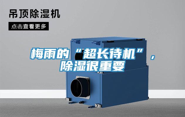 梅雨的“超長待機”，除濕很重要