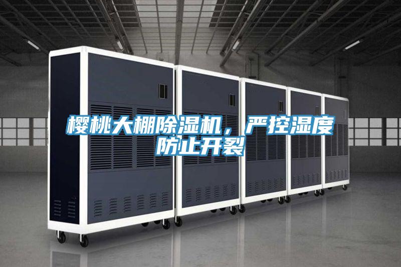 櫻桃大棚除濕機,嚴控濕度防止開裂