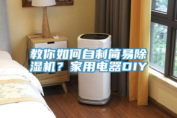 教你如何自制簡易除濕機(jī)?家用電器DIY