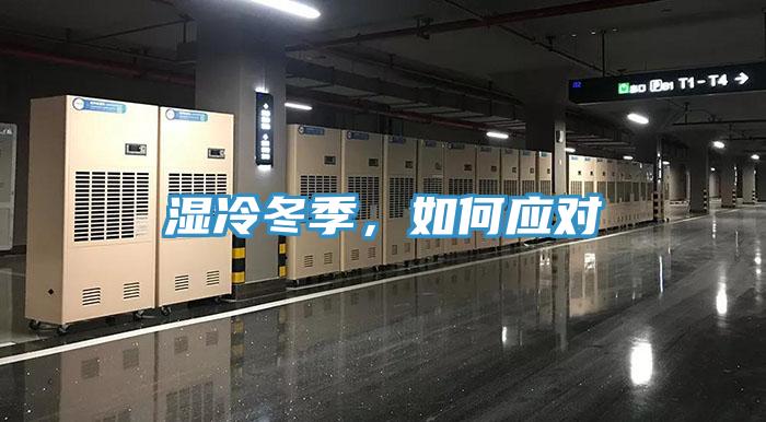 濕冷冬季，如何應對