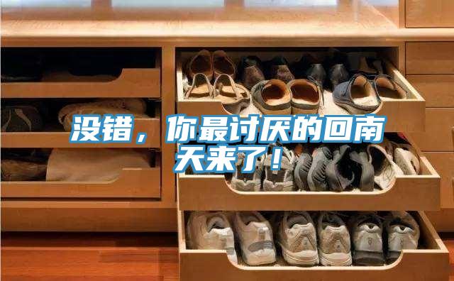 沒錯，你最討厭的回南天來了！