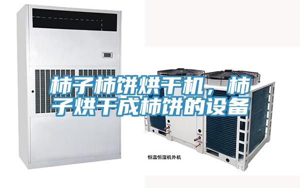 柿子柿餅烘干機,柿子烘干成柿餅的設(shè)備