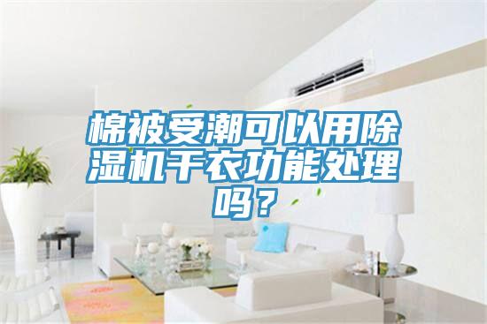 棉被受潮可以用除濕機(jī)干衣功能處理嗎?