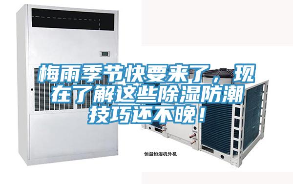 梅雨季節(jié)快要來(lái)了,現(xiàn)在了解這些除濕防潮技巧還不晚!