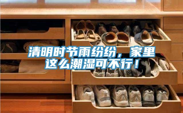 清明時節(jié)雨紛紛,家里這么潮濕可不行!