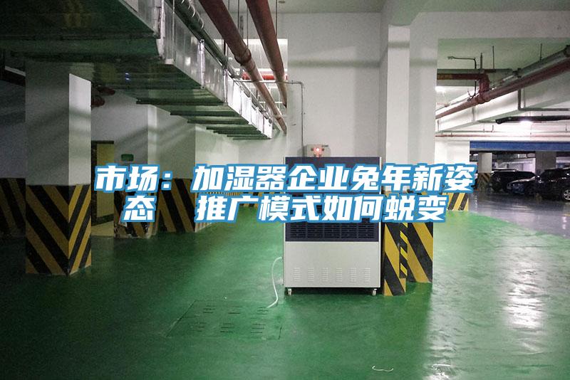 市場:加濕器企業(yè)兔年新姿態(tài) 推廣模式如何蛻變