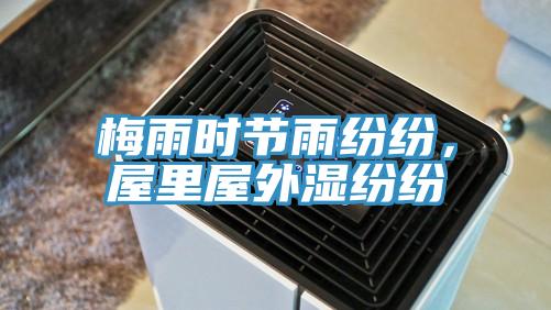 梅雨時節雨紛紛，屋里屋外濕紛紛