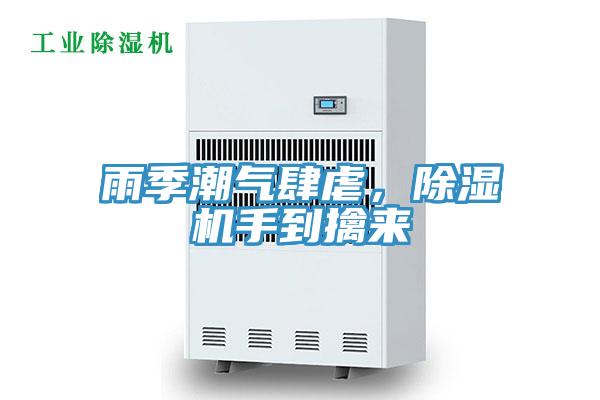 雨季潮氣肆虐，除濕機手到擒來