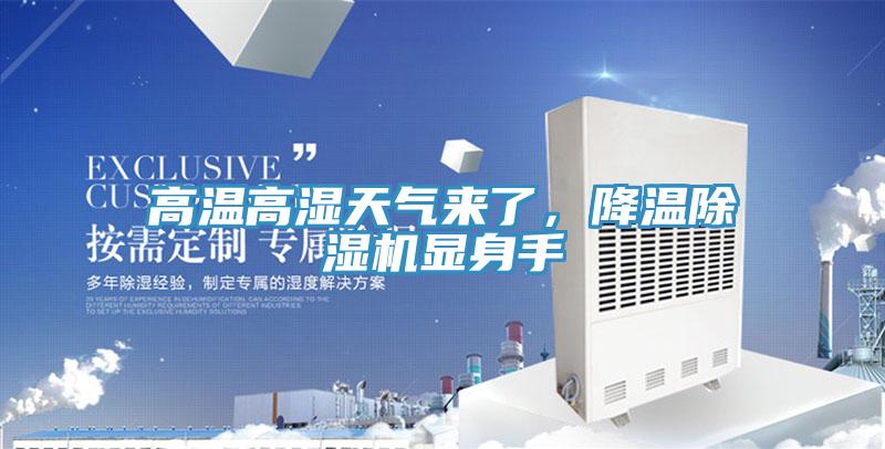 高溫高濕天氣來了，降溫除濕機顯身手
