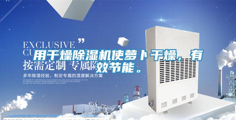 用干燥除濕機使蘿卜干燥,有效節(jié)能。