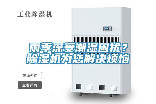 雨季深受潮濕困擾？除濕機為您解決煩惱