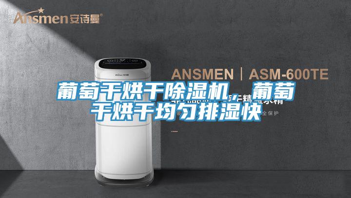 葡萄干烘干除濕機，葡萄干烘干均勻排濕快