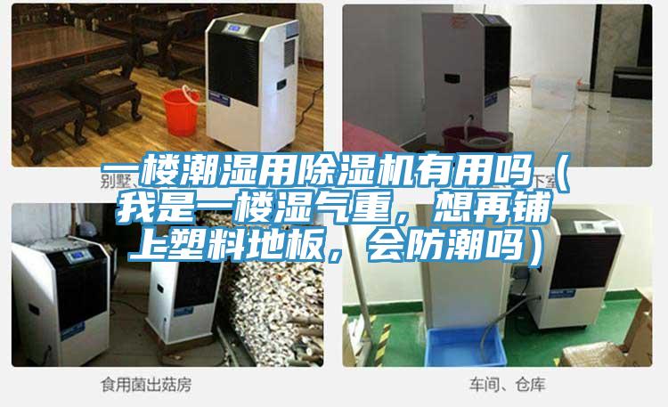 一樓潮濕用除濕機有用嗎（我是一樓濕氣重，想再鋪上塑料地板，會防潮嗎）