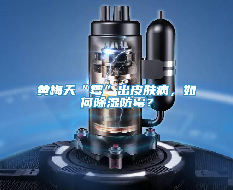 黃梅天“霉”出皮膚病，如何除濕防霉？